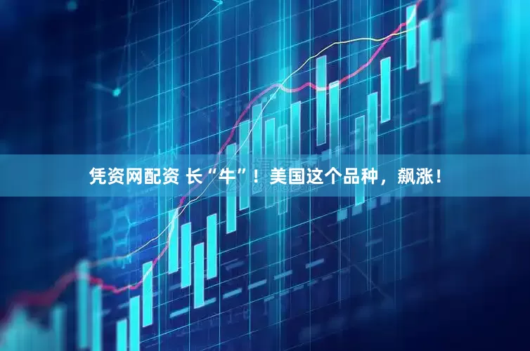 凭资网配资 长“牛”！美国这个品种，飙涨！