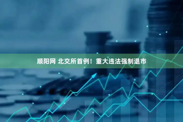 顺阳网 北交所首例！重大违法强制退市